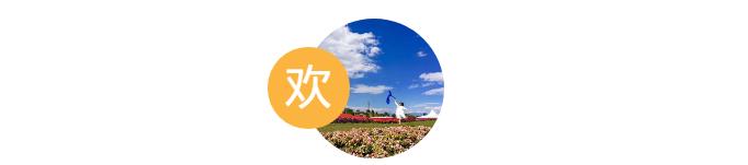 大理云海花海,大理花海漫步