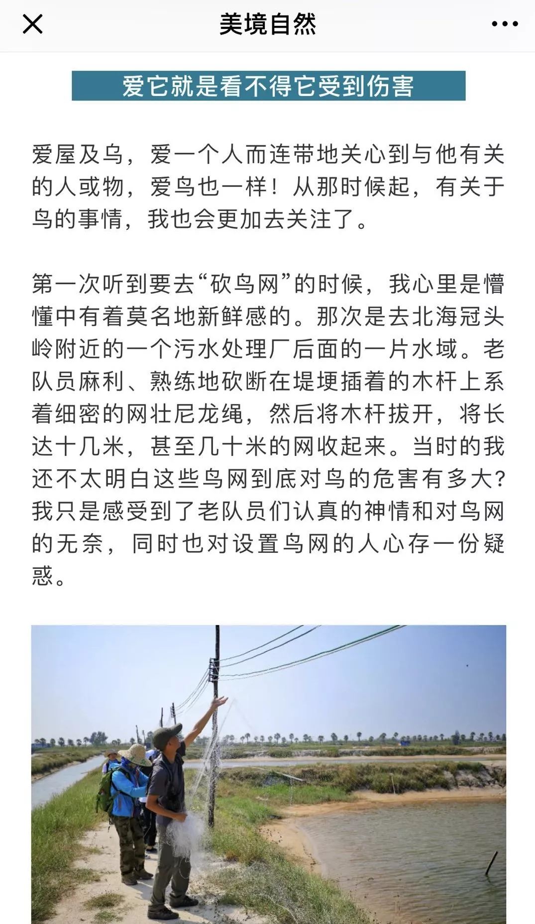 美境自然：品牌形象下的99众筹宣传品｜2018劲草99众筹经验分享（一）