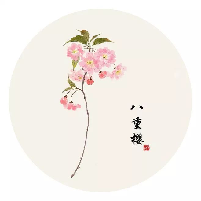 和汉字很相似的字大全,汉字中有哪些相似的字