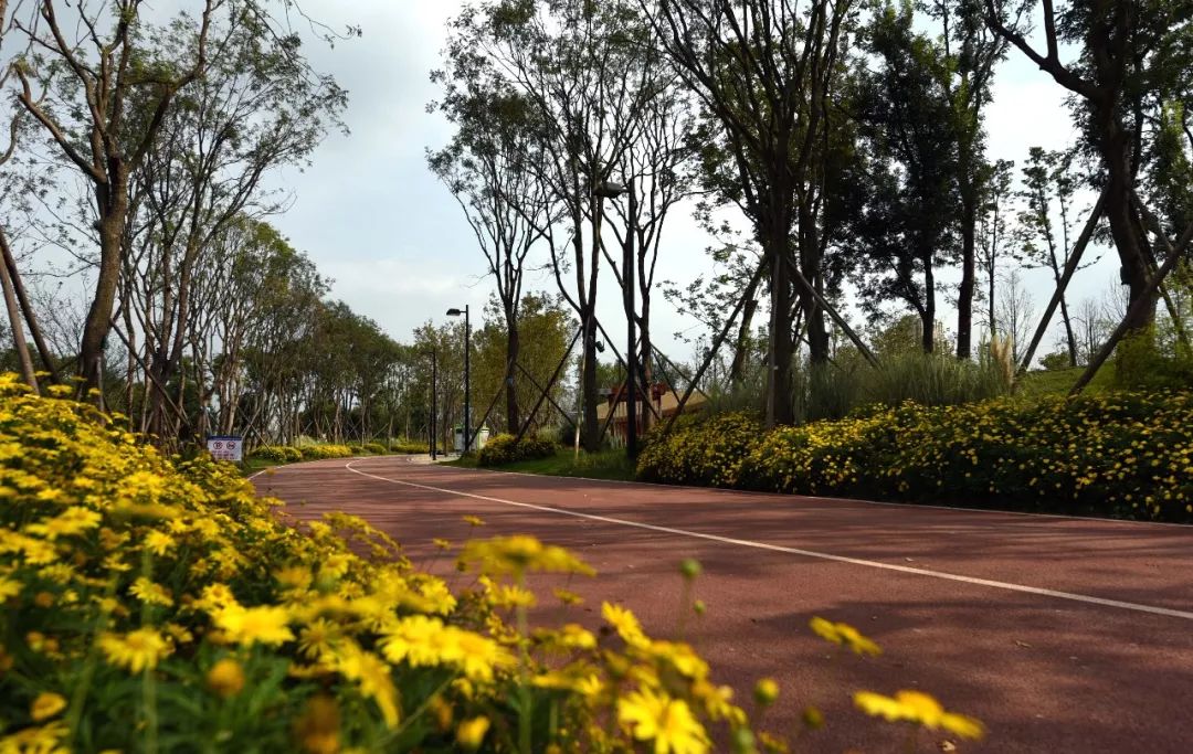 打卡美景成都,成都高新高端打卡地