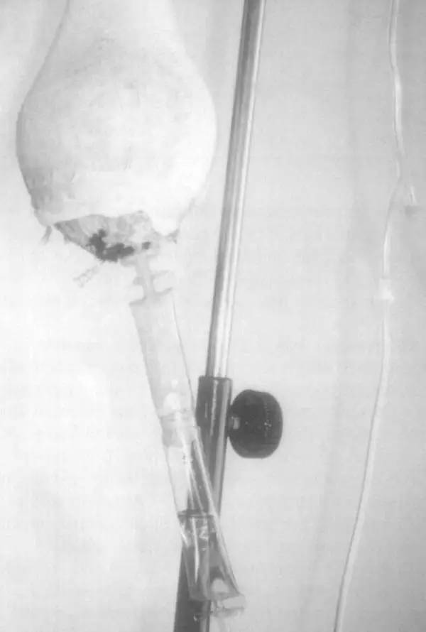 「冷知识」云比大象重、狮子爱CK香水