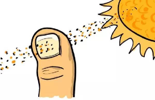 「冷知识」云比大象重、狮子爱CK香水