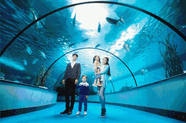 避暑烟台,烟台夏天闷热