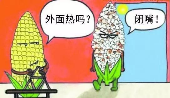 长春凯撒水上乐园几点开始,长春带冲浪的水上乐园