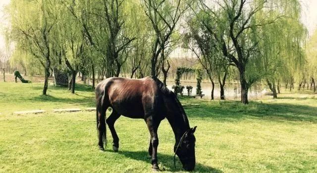 松江温泉度假村排名榜,松江河天沐温泉度假酒店