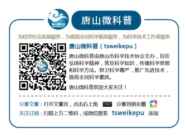 头发丝在纸上画画,头发丝上可以画什么