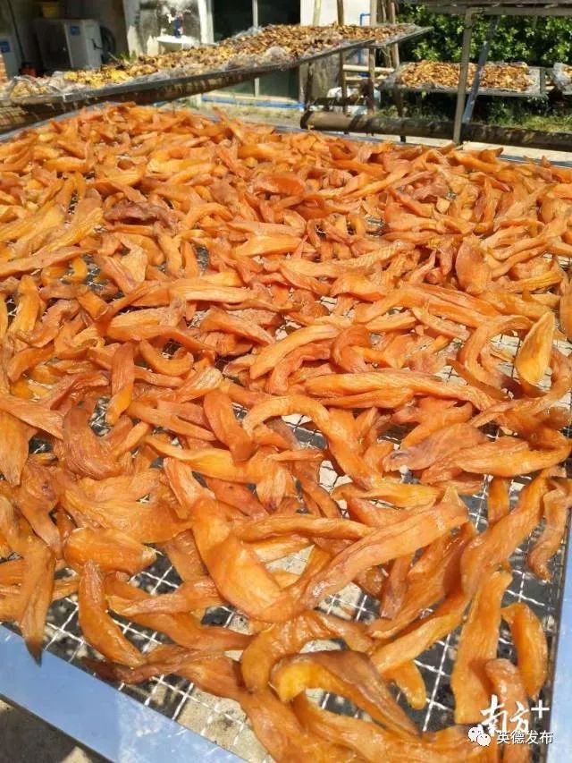 「关注」英德商户囤万斤红薯干“迎战”双十一！全市电子商务产业令人瞩目