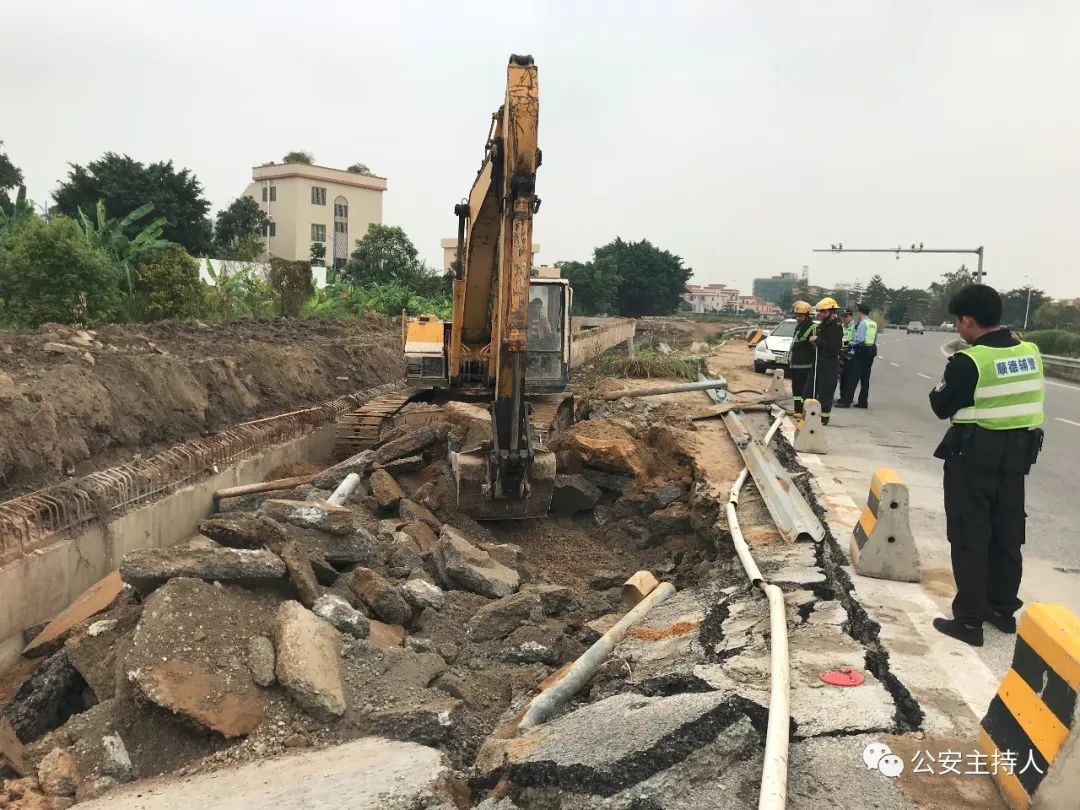 大蟒蛇视频大型挖掘机,工地挖机挖出一条巨蟒