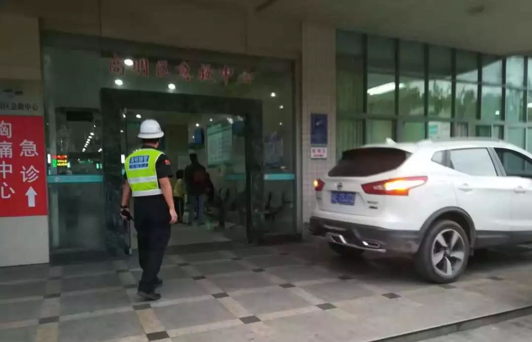 大蟒蛇视频大型挖掘机,工地挖机挖出一条巨蟒