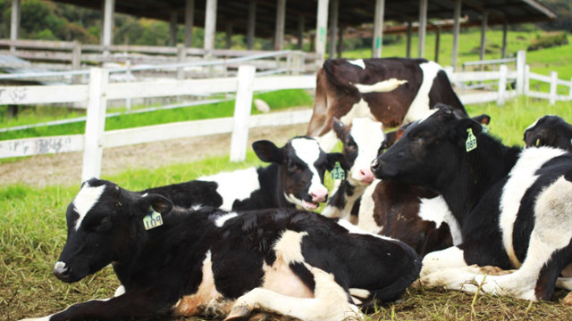 沙巴海岛游推荐,亚庇沙巴经典玩法攻略