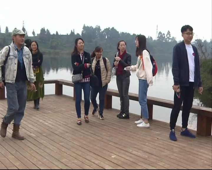 农旅结合景观设计,农旅融合风光无限