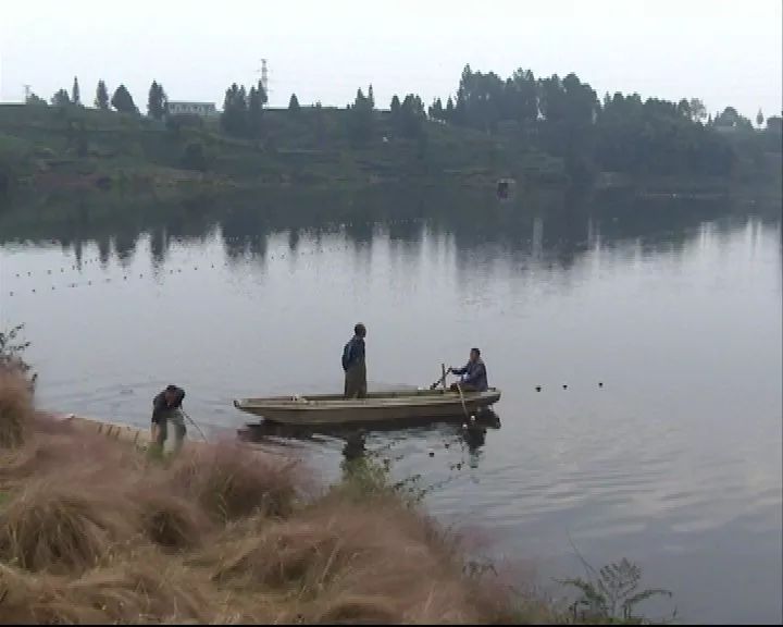 农旅结合景观设计,农旅融合风光无限