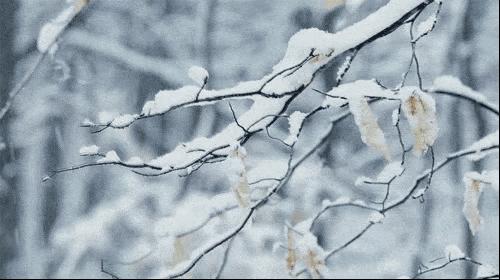 青岛一天生活,青岛24小时生活