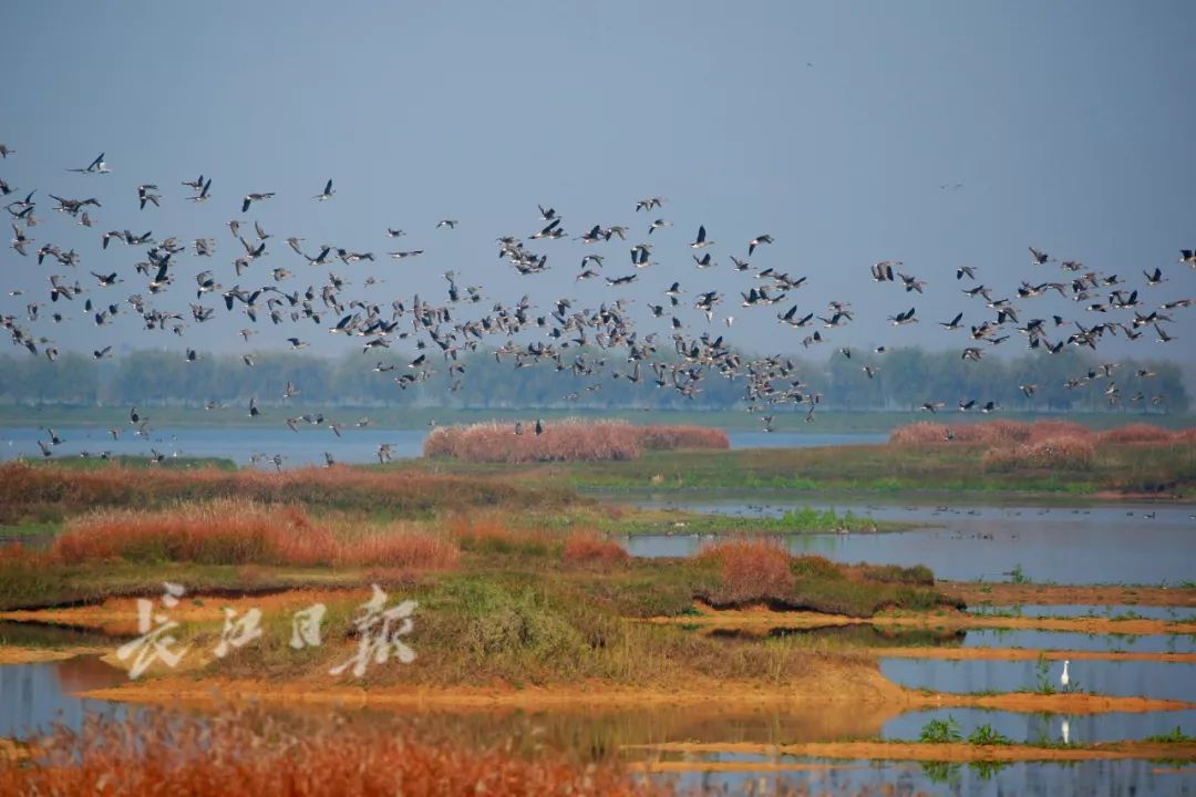 立冬天气湖北,湖北寒潮大雪