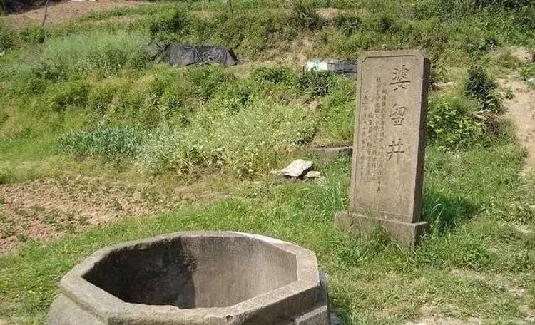 中国最牛的六大家族,中国最厉害的家族姓氏