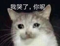 「曝光」多款网红假港药被查获，你爱买的活络油、双飞人……有可能是假的！