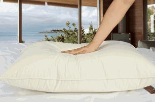 床单一月不洗螨虫成窝教你一招,床单一周不洗