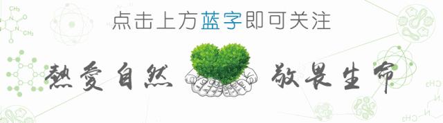 左心舒张功能减退的治疗方法,左心室增大左心舒张功能减退