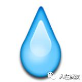 花市买10元3盆多肉,武汉多肉花卉便宜