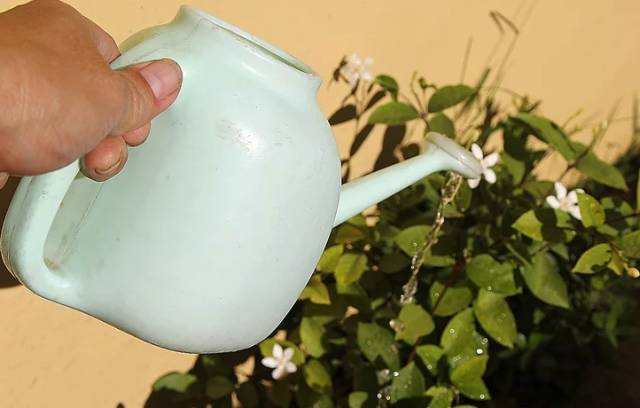 过期的药不要扔,过期的药片千万别扔教你废物利用