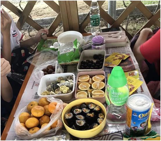 哪里可以学蔬菜模型制作,做手工仿真菜园蔬菜