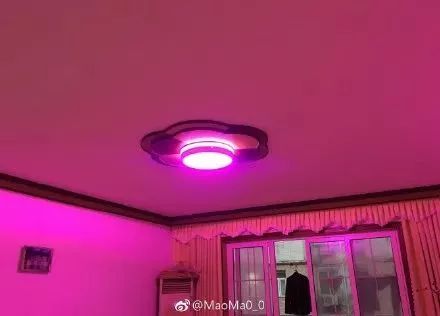 太刺激了！花了20w装修新房，结果被爸妈装成了公共厕所？