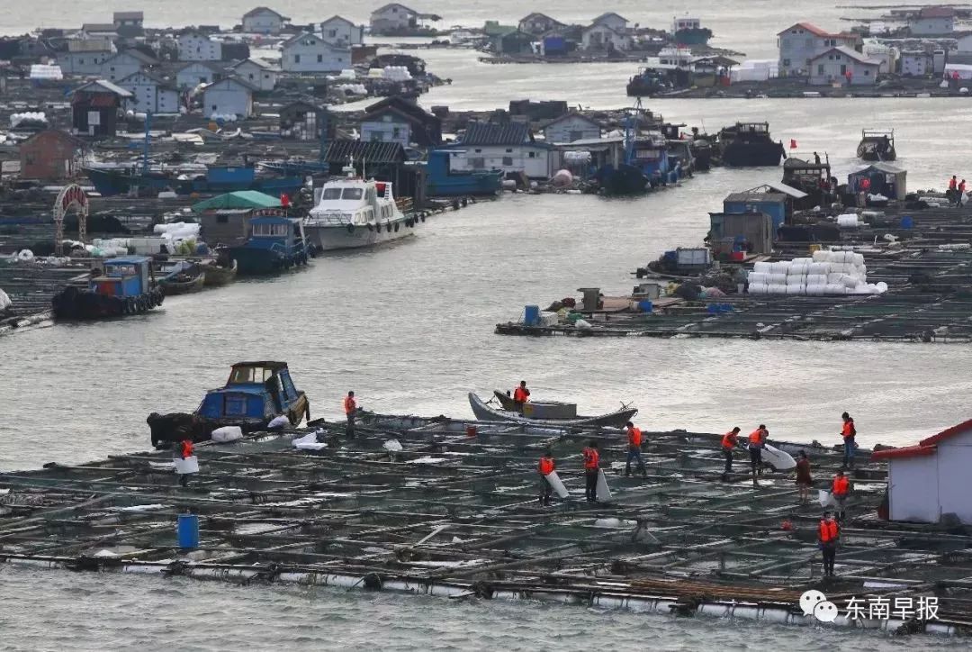 碳九泄漏事件后续,碳九泄漏事件视频