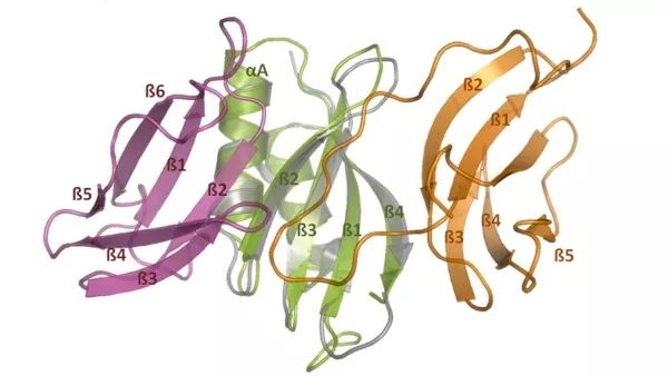 新闻纵横完整视频,新闻纵横回放