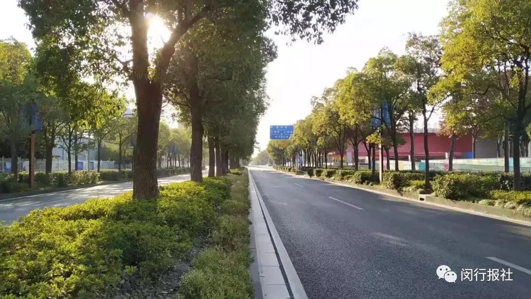 快，换上跑鞋，到上海最美林荫道中，参加欢乐嘉年华！