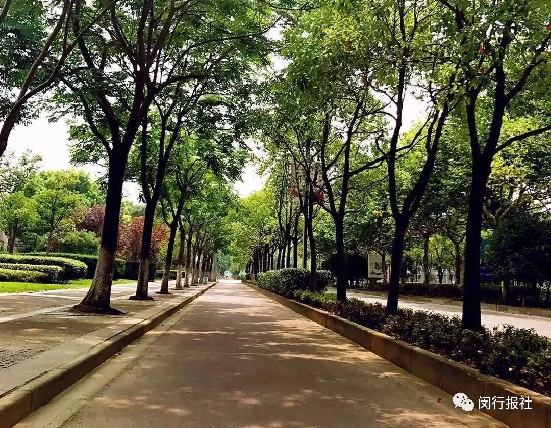 快，换上跑鞋，到上海最美林荫道中，参加欢乐嘉年华！