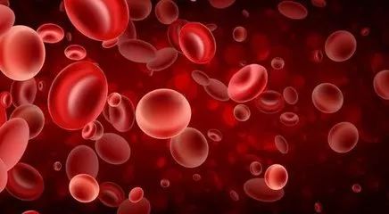 贫血吃什么食物补,补贫血最快的方法