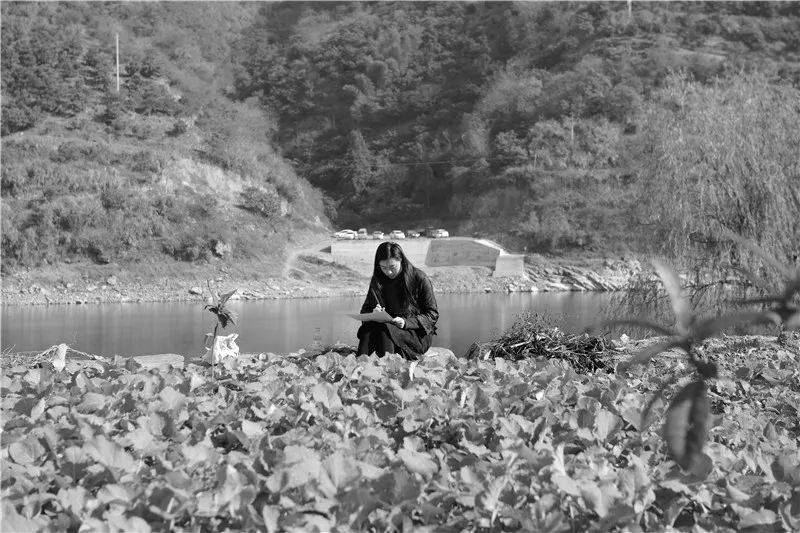 新安书画展,新安县画展