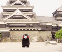 没吃过这些雪糕的大连人，不足以谈童年