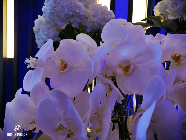 荣耀Magic2拍照如何？手持超级夜景赞爆