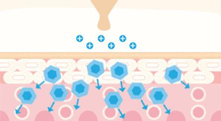 鼻头总是挤出白色丝条中医辨证,鼻头一挤就有白丝