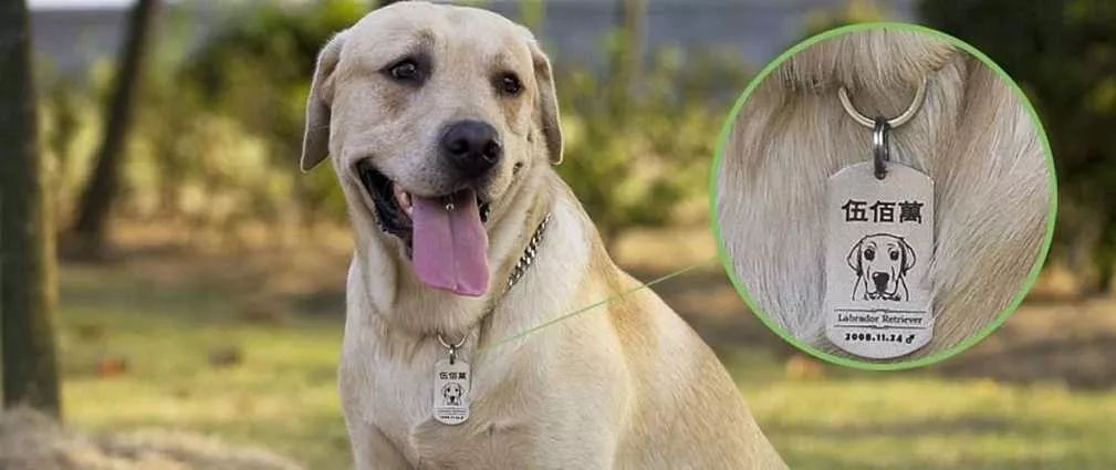 马鞍山市市区疫苗接种最新通告,马鞍山今天疫苗通知