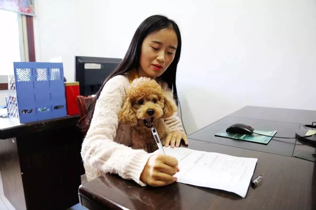 马鞍山市市区疫苗接种最新通告,马鞍山今天疫苗通知