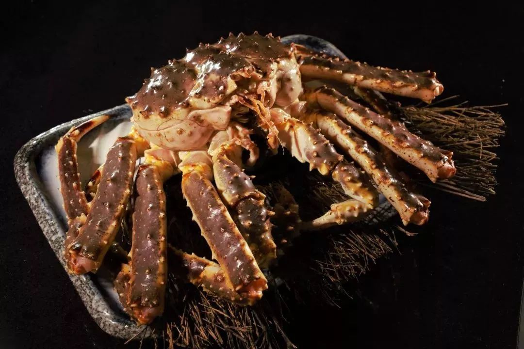 探秘金虹桥JTown日本街，在长宁也能逛东京的店！