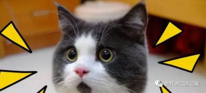 不用出门就能去买东西,不用出门也能买到海外产品