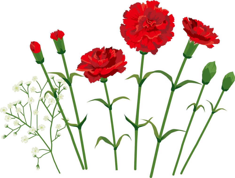 2022年昌平区普惠幼儿园,昌平区公立幼儿园哪个好