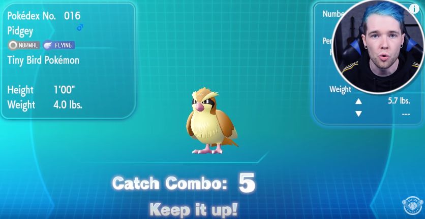 精灵宝可梦阿尔宙斯发售,精灵宝可梦新出的一季