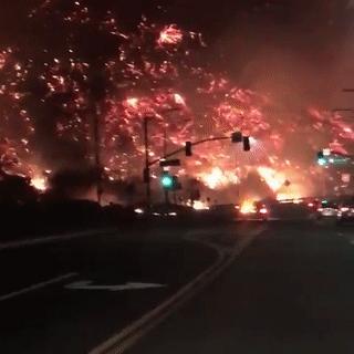 实在美国加州人，告诉你振动模式下如何自保