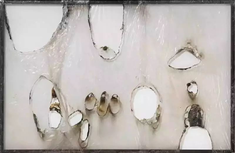 阿尔贝托布里诺利,阿尔贝托·布里尼奥利