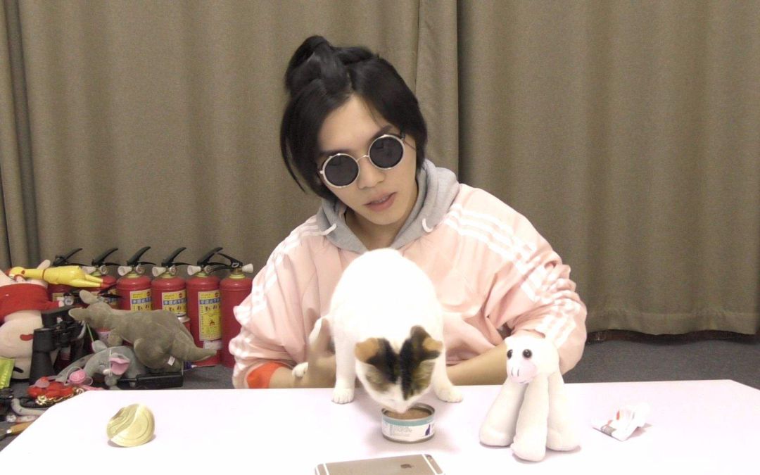 张大奕最近的新网红,张大奕中国第一网红