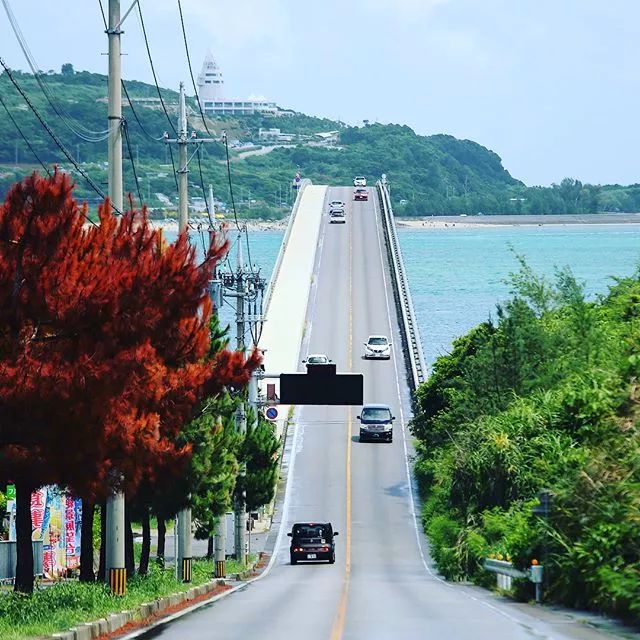 日本夏威夷樱花海岛,在日本最晚看到樱花开放的岛屿