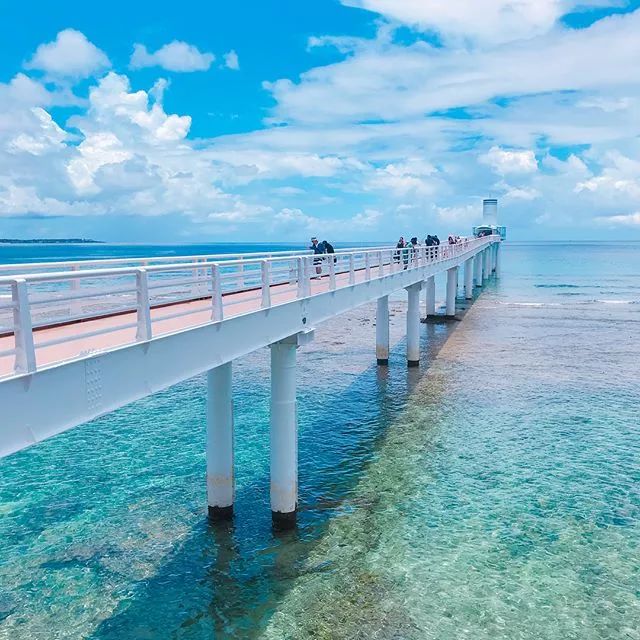 日本夏威夷樱花海岛,在日本最晚看到樱花开放的岛屿
