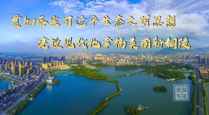 铜陵足球队名单,铜陵市篮球队名单