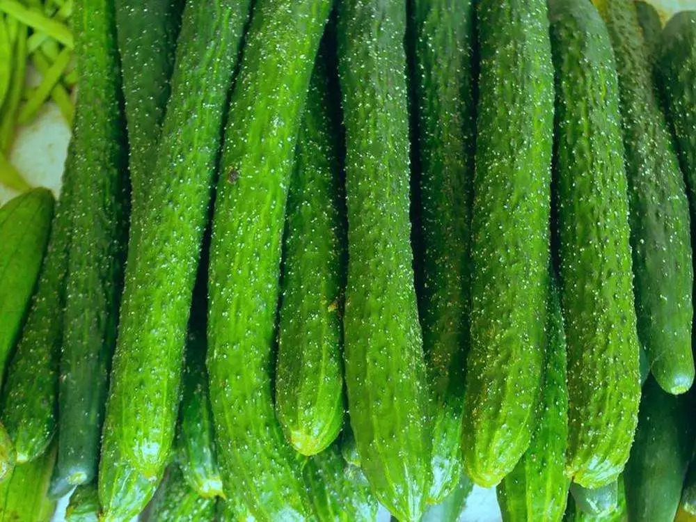 四川成都各大批发市场,成都最新批发市场