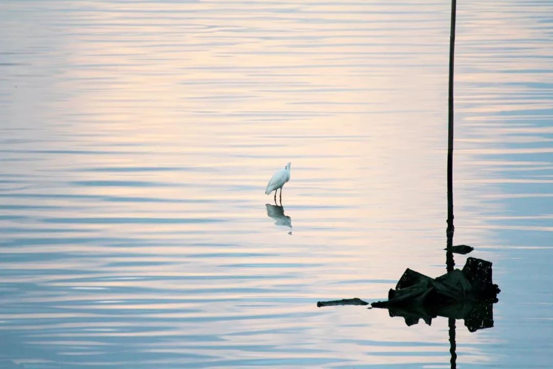 觊觎读音及解释,觊觎多音字