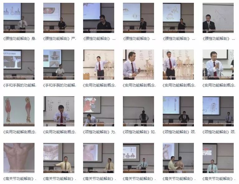 康复人必学的解剖教程/视频/电子书大合集，点击领取